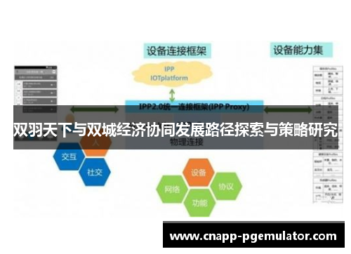 双羽天下与双城经济协同发展路径探索与策略研究