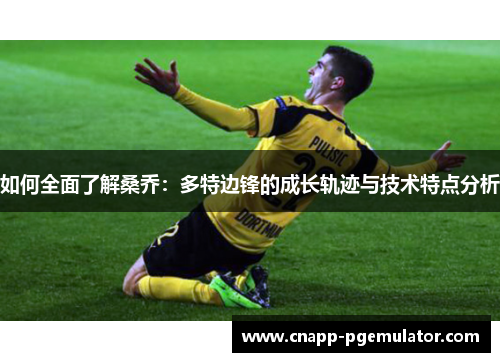 如何全面了解桑乔：多特边锋的成长轨迹与技术特点分析