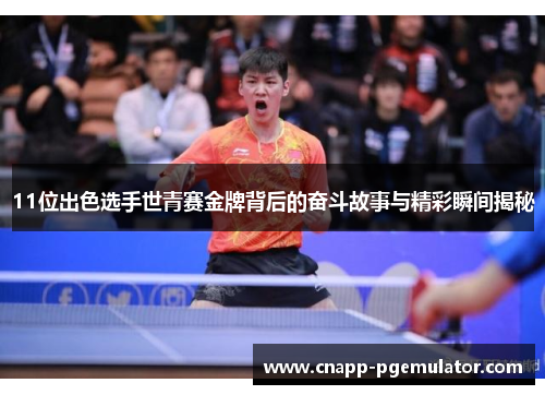 11位出色选手世青赛金牌背后的奋斗故事与精彩瞬间揭秘