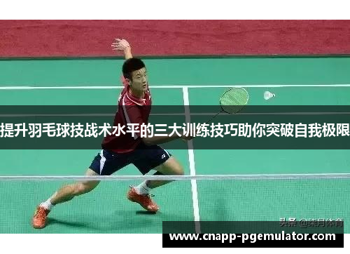 提升羽毛球技战术水平的三大训练技巧助你突破自我极限