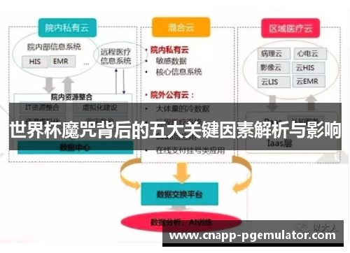 世界杯魔咒背后的五大关键因素解析与影响