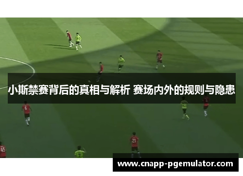 小斯禁赛背后的真相与解析 赛场内外的规则与隐患
