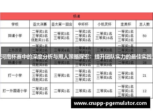 河南杯赛中的深度分析与用人策略探索：提升团队实力的最佳实践