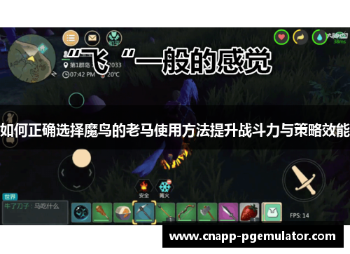 如何正确选择魔鸟的老马使用方法提升战斗力与策略效能
