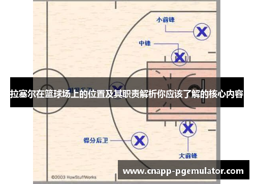 拉塞尔在篮球场上的位置及其职责解析你应该了解的核心内容