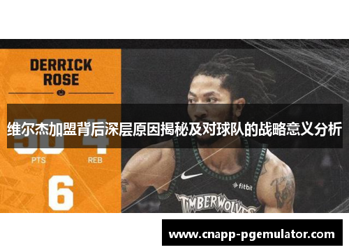 维尔杰加盟背后深层原因揭秘及对球队的战略意义分析