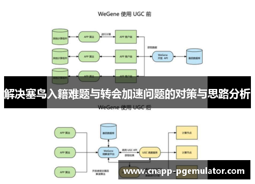 解决塞鸟入籍难题与转会加速问题的对策与思路分析