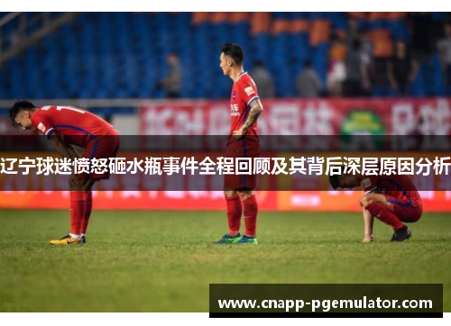 辽宁球迷愤怒砸水瓶事件全程回顾及其背后深层原因分析