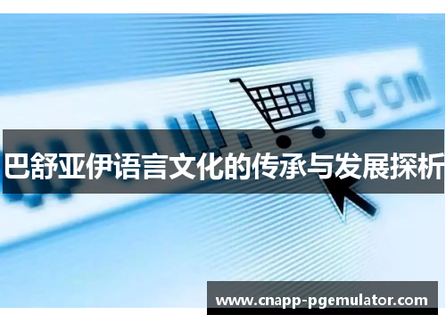 巴舒亚伊语言文化的传承与发展探析