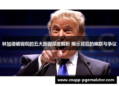 林加德被调侃的五大原因深度解析 揭示背后的幽默与争议 林加德被调侃的五大原因深度解析 揭示背后的幽默与争议
