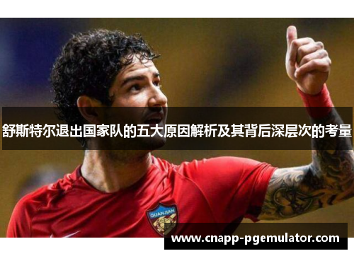 舒斯特尔退出国家队的五大原因解析及其背后深层次的考量