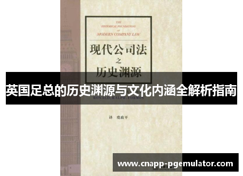 英国足总的历史渊源与文化内涵全解析指南