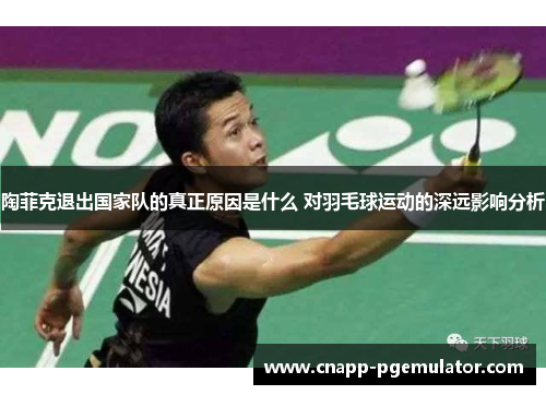 陶菲克退出国家队的真正原因是什么 对羽毛球运动的深远影响分析 陶菲克退出国家队的真正原因是什么 对羽毛球运动的深远影响分析