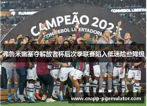 弗鲁米嫩塞夺解放者杯后次季联赛陷入低迷险些降级