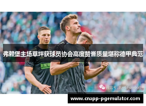 弗赖堡主场草坪获球员协会高度赞誉质量堪称德甲典范 弗赖堡主场草坪获球员协会高度赞誉质量堪称德甲典范