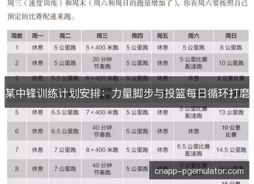 某中锋训练计划安排：力量脚步与投篮每日循环打磨